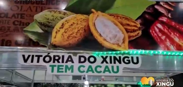 Vitória do Xingu marca presença na Feira Internacional do Chocolate e Cacau